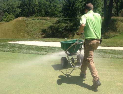 Top dressing for success